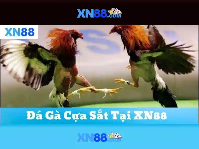 Tải XN88