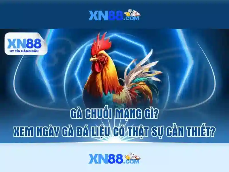 Tính Năng Đột Phá Của XN88