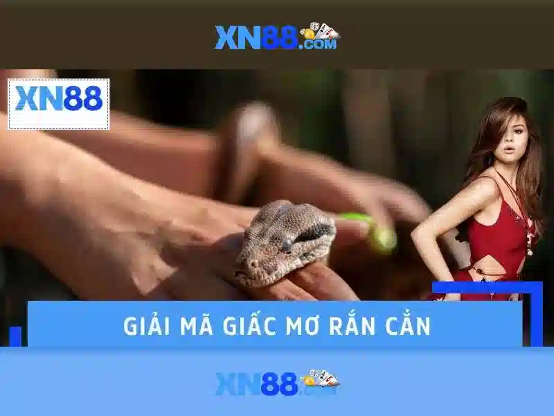Trải Nghiệm Trò Chơi XN88