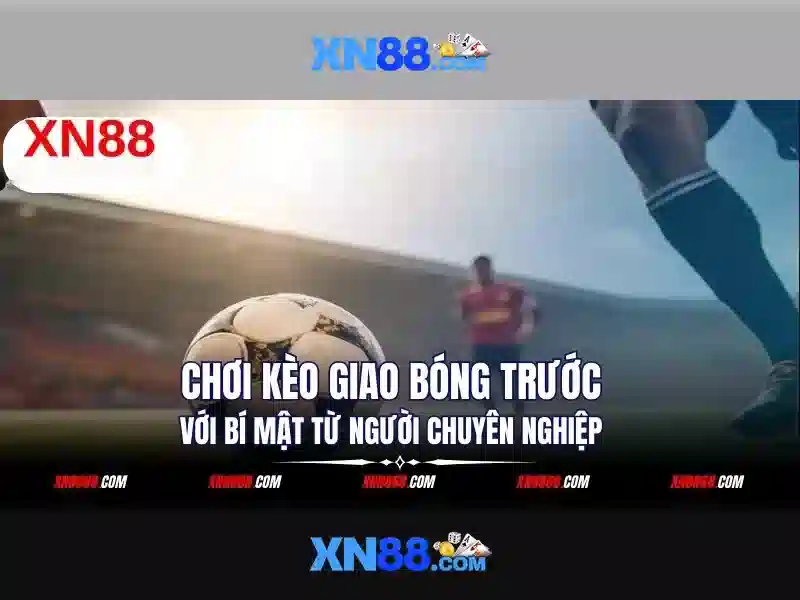 Giới Thiệu XN88