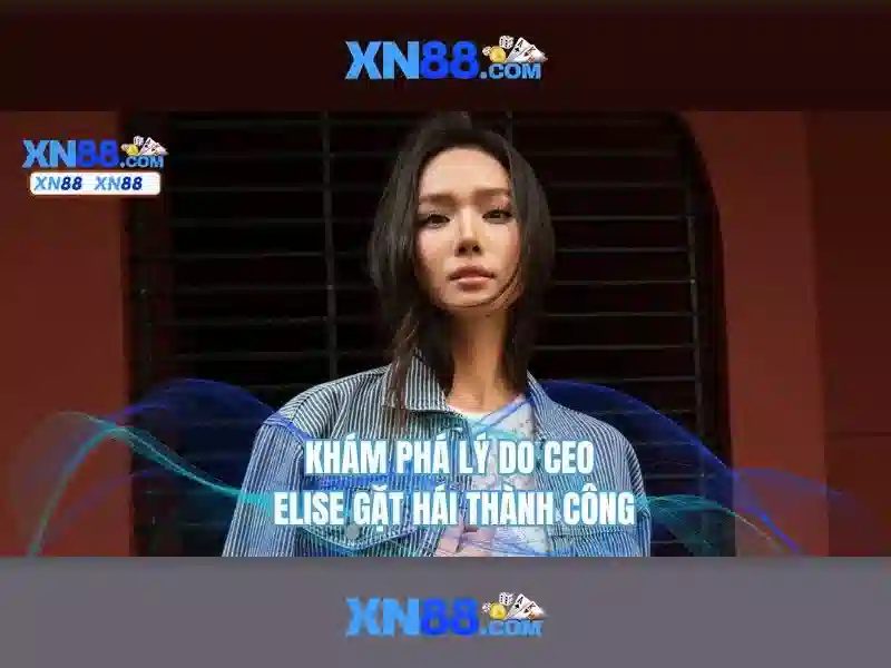 Khám Phá XN88 Casino