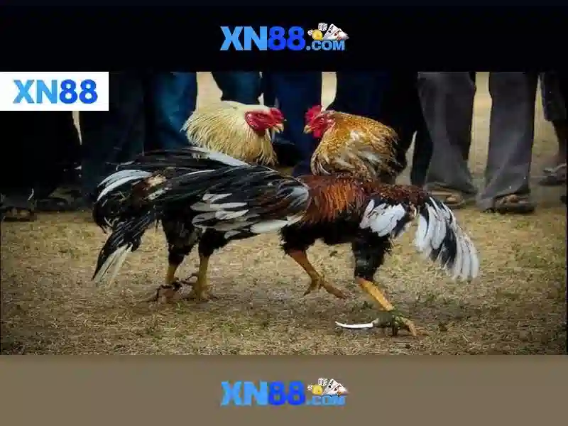 Hướng Dẫn Đăng Ký Tài Khoản
