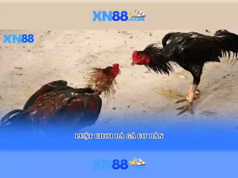 Hướng Dẫn Đăng Ký