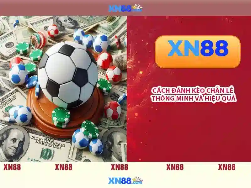 Ưu Đãi Cho Người Chơi Trên XN88 App