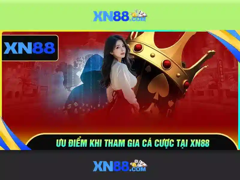 XN88 – Điều Khoản Và Điều Kiện Chính Thức 2026