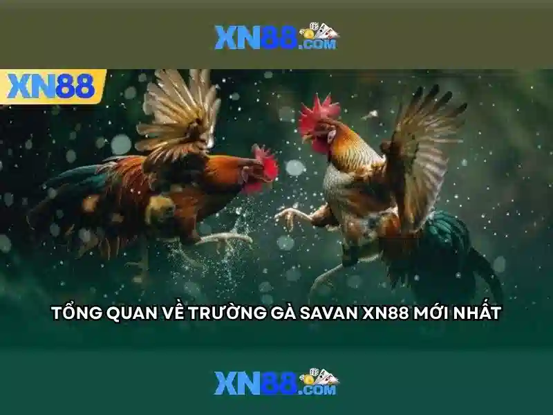 Trải Nghiệm Slot