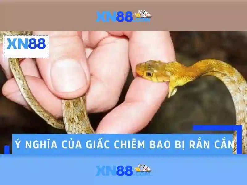 XN88 – Trang Chủ XN88 | Slot, Casino, Thể Thao, Xổ Số, Tin Tức, Ưu Đãi 2026