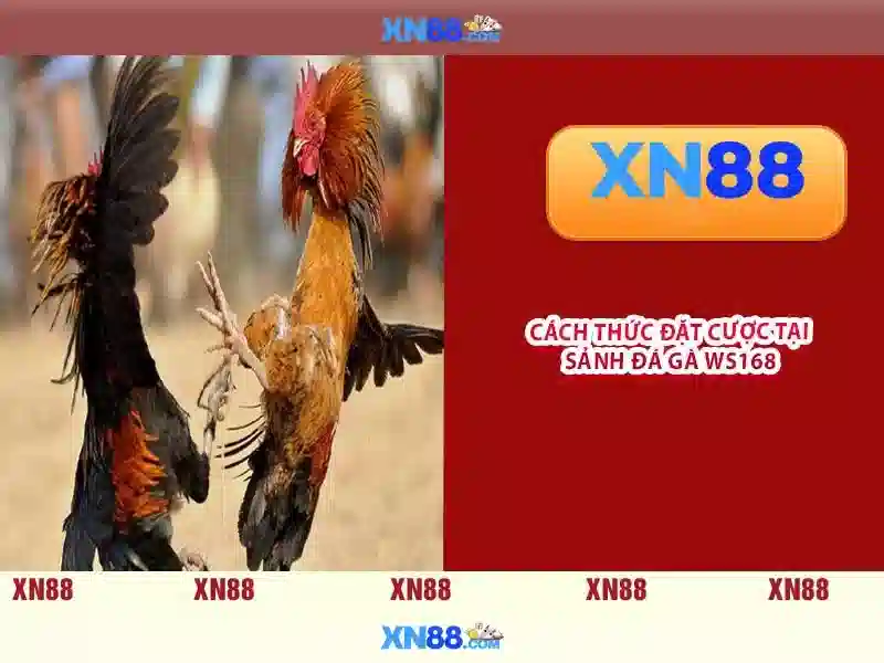 Các Dịch Vụ Slot Tại XN88