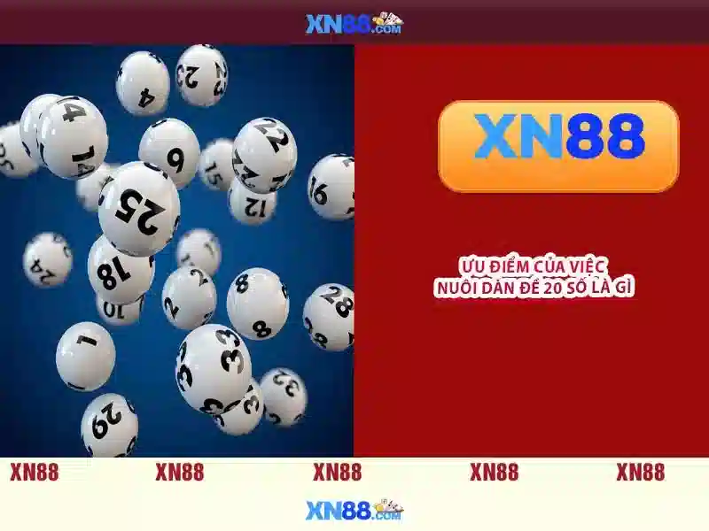 Trải nghiệm trò chơi
