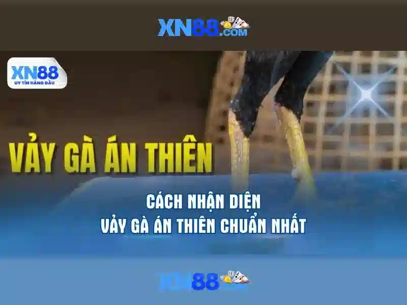 Bí Kíp Chinh Phục Đại Dương Tiền Thưởng Đẳng Cấp Tại XN88