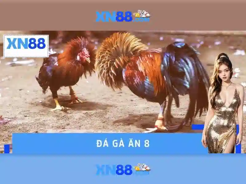 XN88 – Trang Chủ XN88, Truy Cập Nhanh, Chơi Slot Trực Tuyến Tốt Nhất 2026