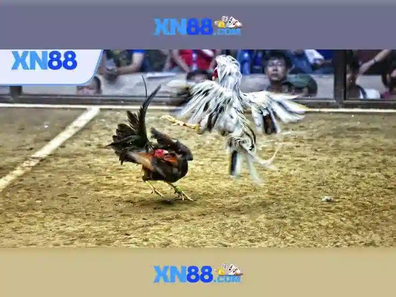 cách chơi Slot