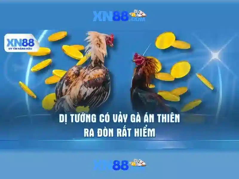 xn88 là gì
