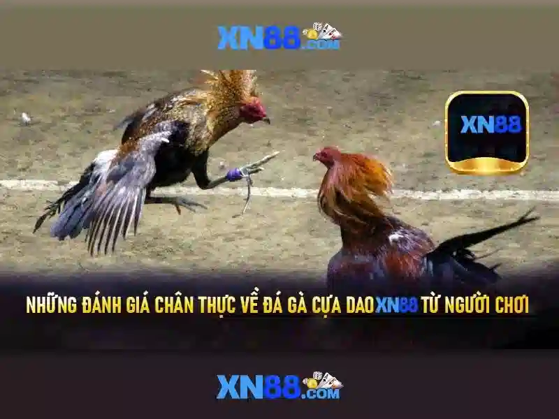 Hướng Dẫn Đăng Nhập XN88