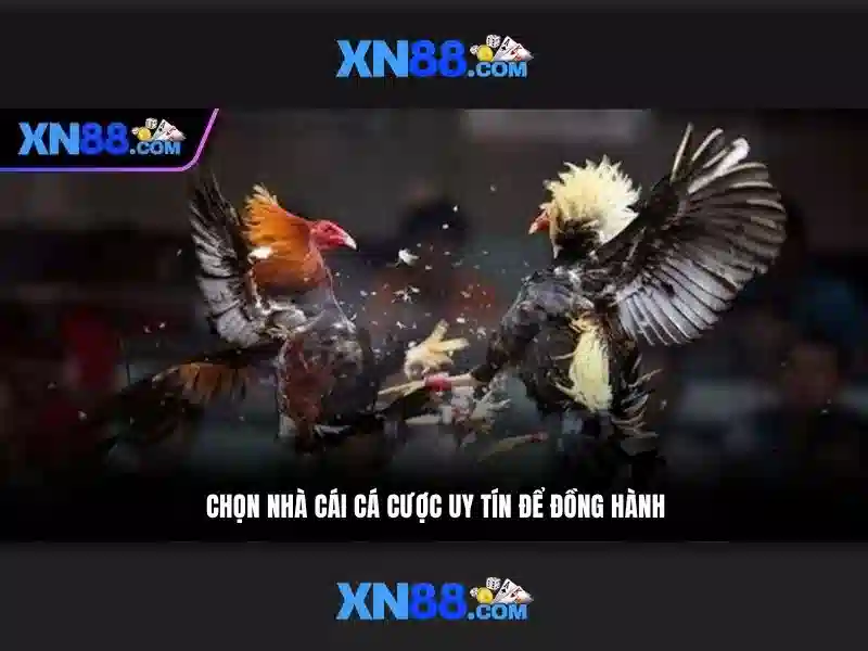 Hướng Dẫn Đăng Ký Và Tham Gia Game XN88
