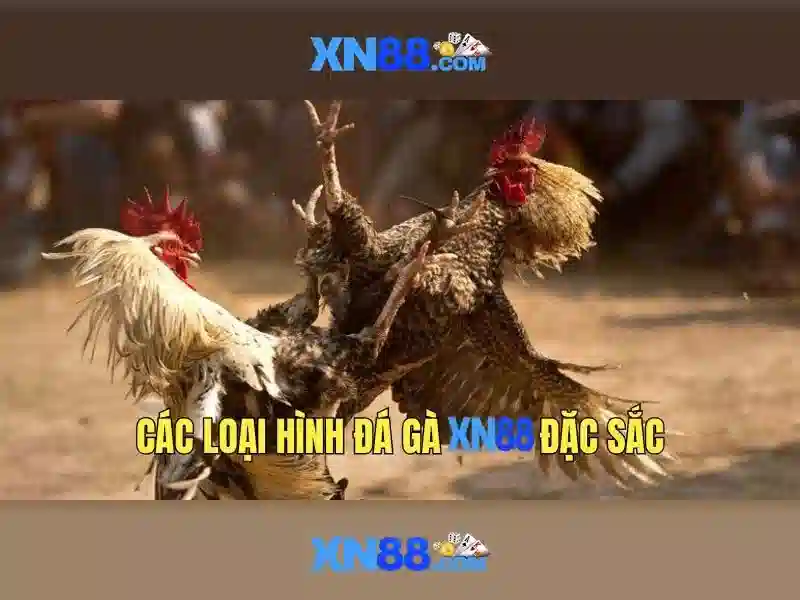 Khuyến Mãi XN88