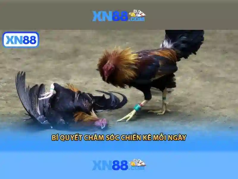 Chiến thuật chơi slot XN88