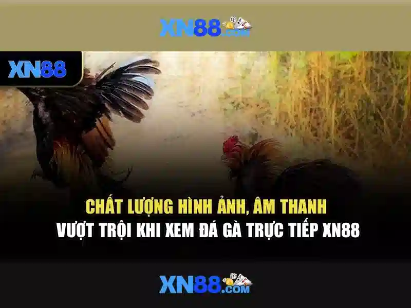 Cách Tham Gia Khuyến Mãi Slot XN88