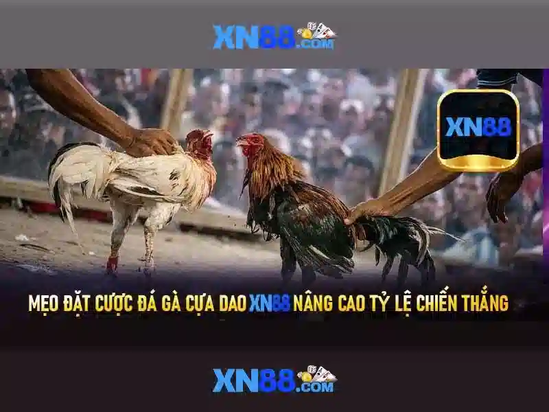 Ưu Đãi Đặc Biệt Cho Thành Viên XN88