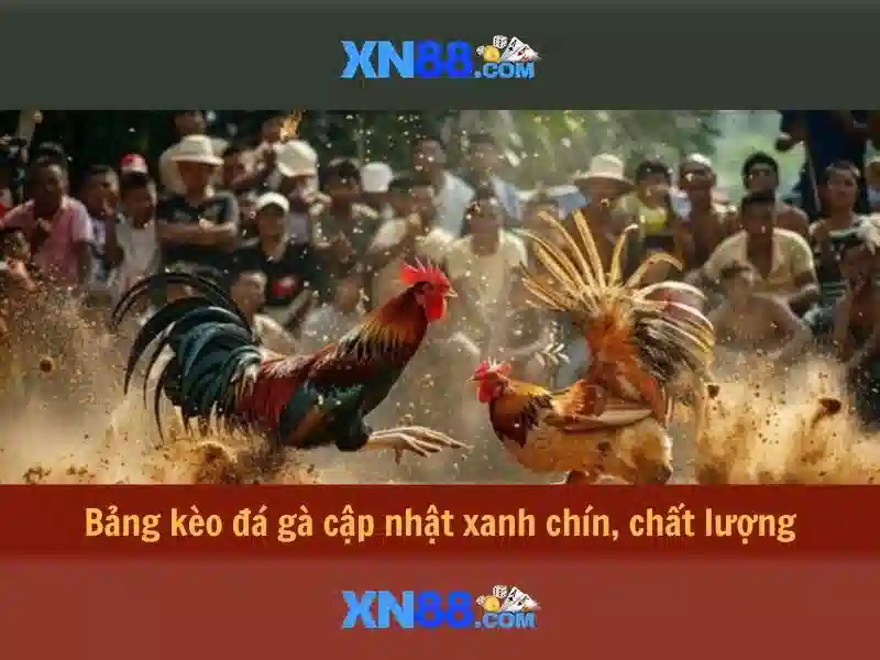 Trải Nghiệm Slot Đỉnh Cao Tại XN88 Gaming