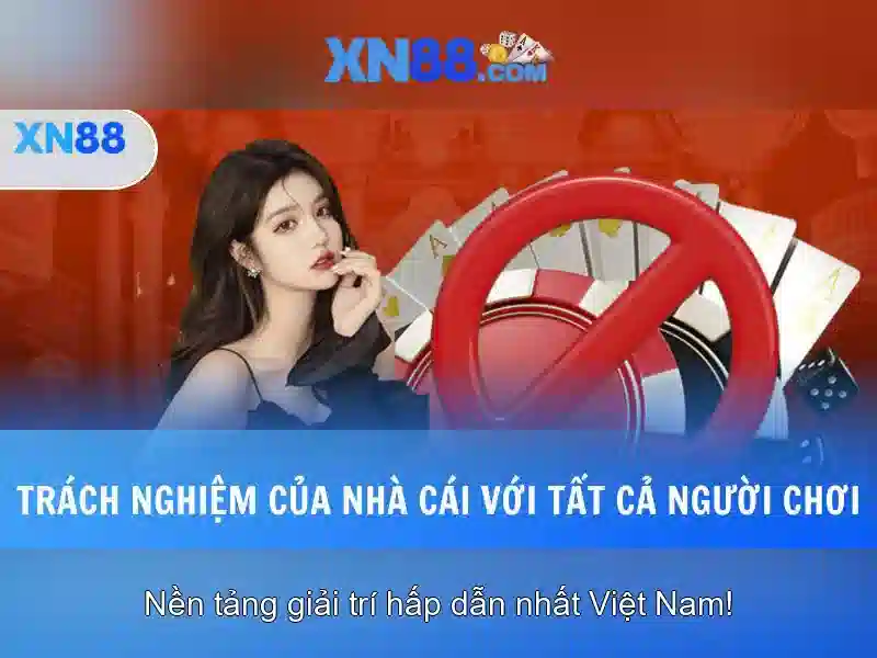 Khái Niệm Về XN88