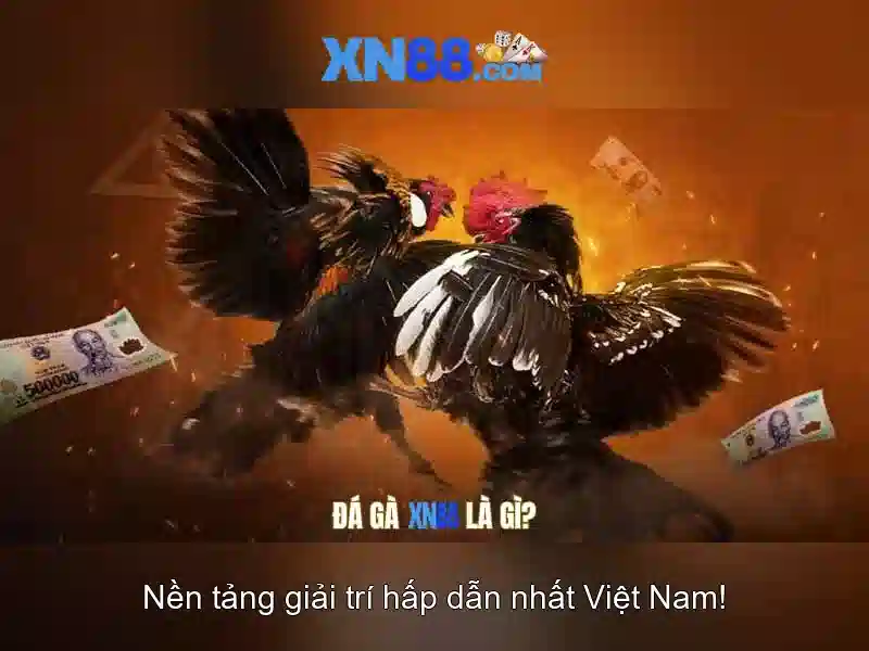 Tính Năng Nạp Rút