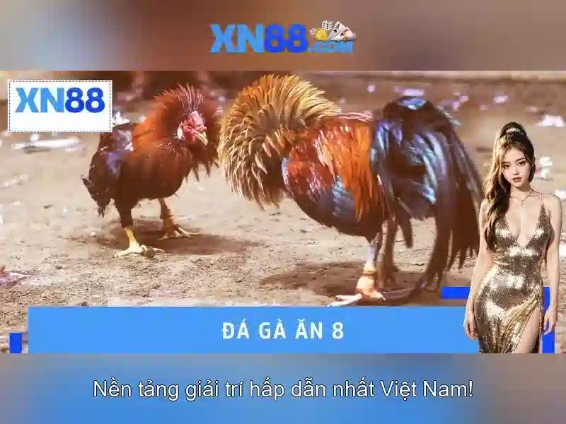 Lợi Ích Đại Lý XN88