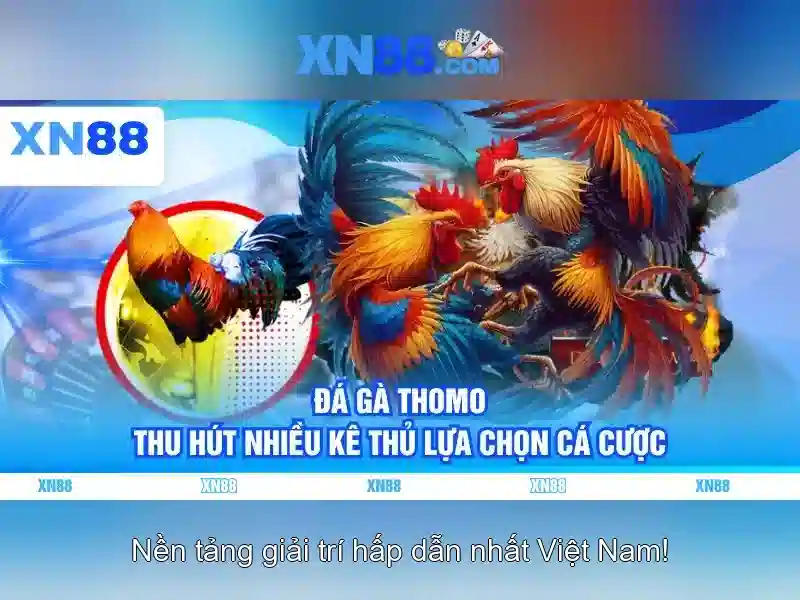 Cách Tải App XN88 Cho Slot