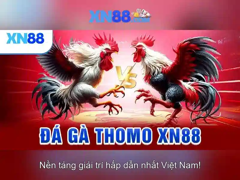 Bảo mật an toàn tại XN88 Win
