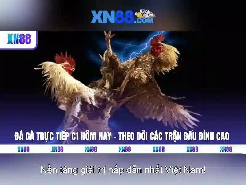 Rút Tiền Bằng Ví Điện Tử XN88