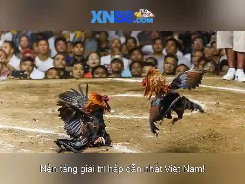 nạp rút tiền XN88