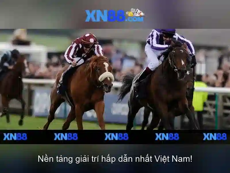Hướng Dẫn Đăng Nhập XN88