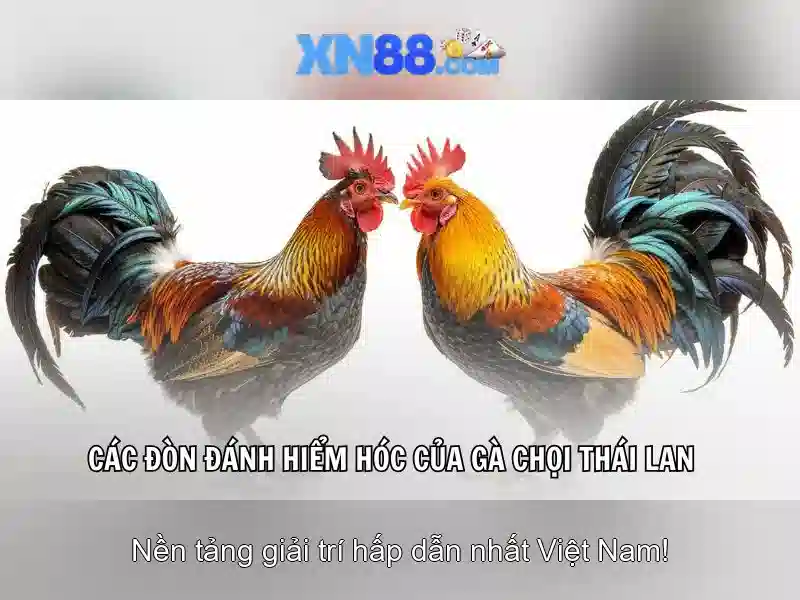 Giá trị quan cờ bạc có trách nhiệm & giám sát AI 2026 