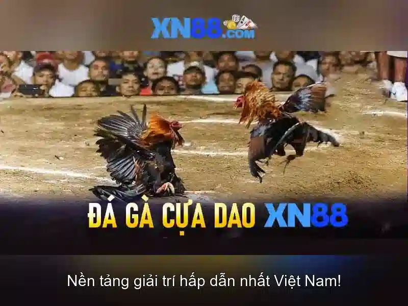 Trải Nghiệm Chơi Slot