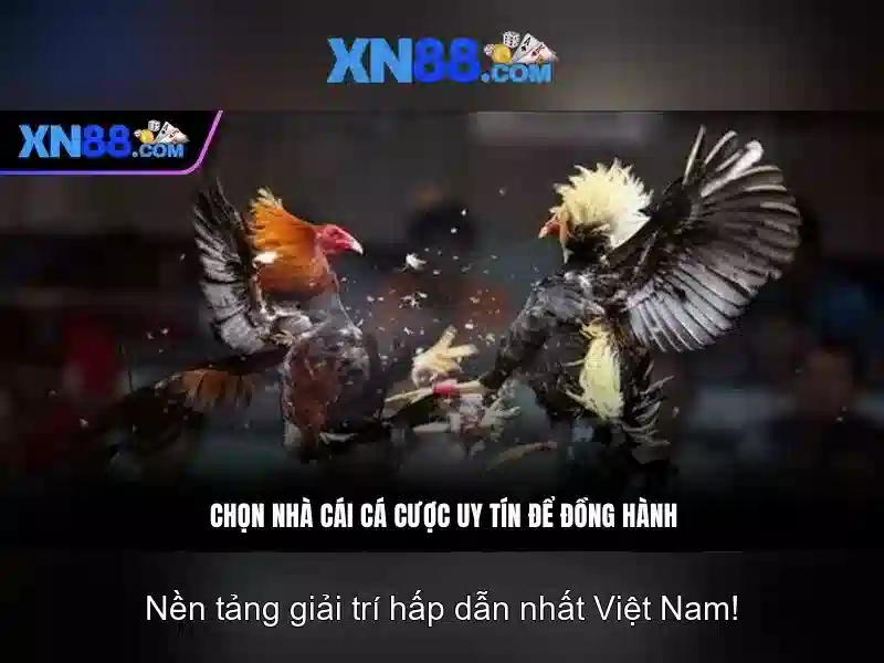 Hướng dẫn đăng ký XN88