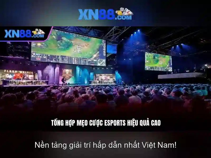 Trải Nghiệm Cá Cược Đỉnh Cao