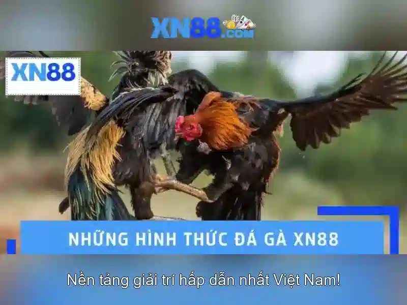 Giao Diện Slot XN88
