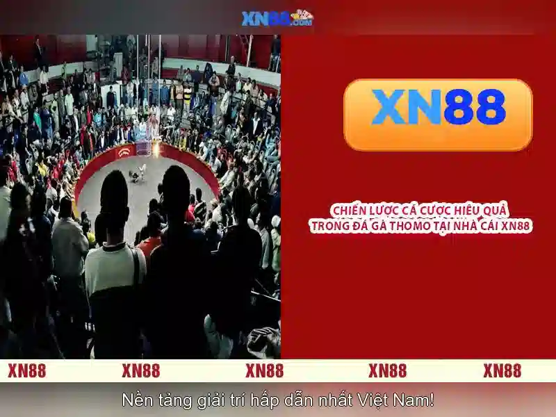 XN88 – Trang Chủ XN88 Chính Thức Không Bị Chặn 2026 | BSHRF Slot 2026