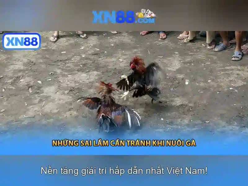 Cá cược Slot XN88