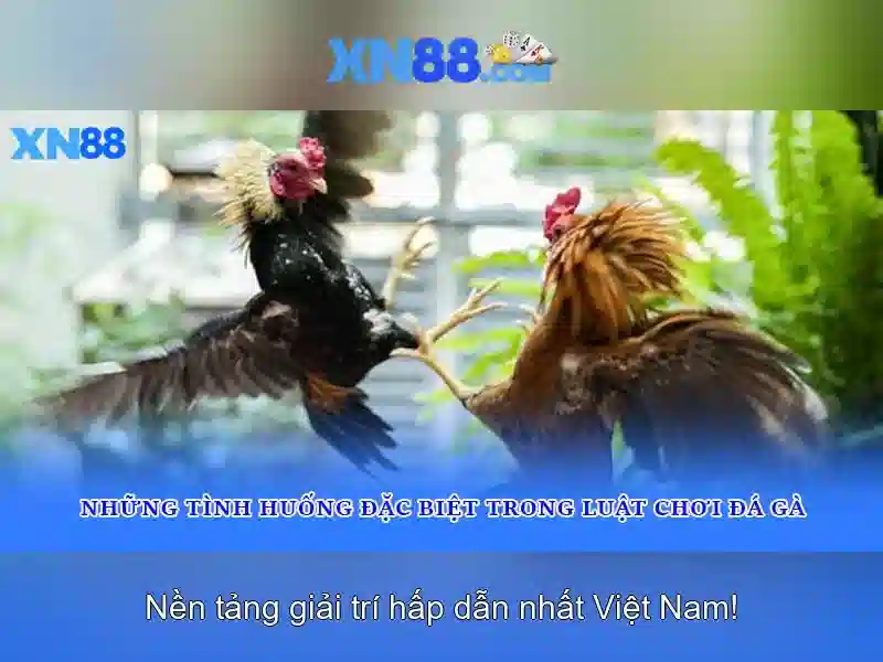 Tại Sao Nên Đăng Nhập XN88 Win Cho Người Chơi Slot