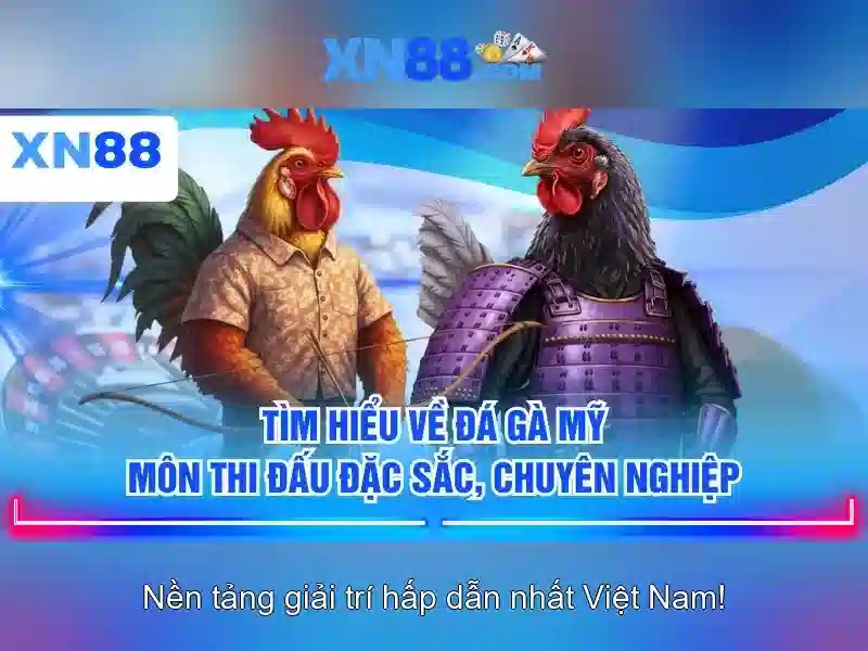 XN88