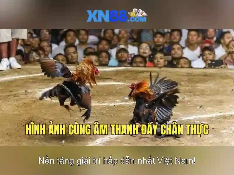 XN88 Slot – Trải Nghiệm Slot Đỉnh Cao 2026