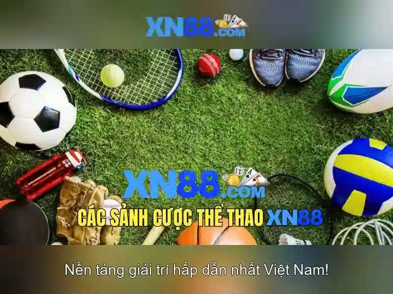 Giới Thiệu Về XN88
