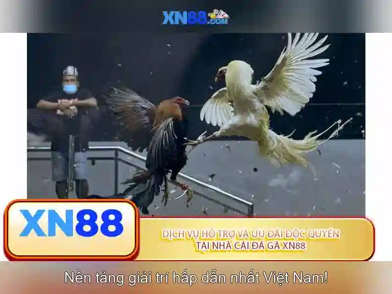 Quy trình kiểm định