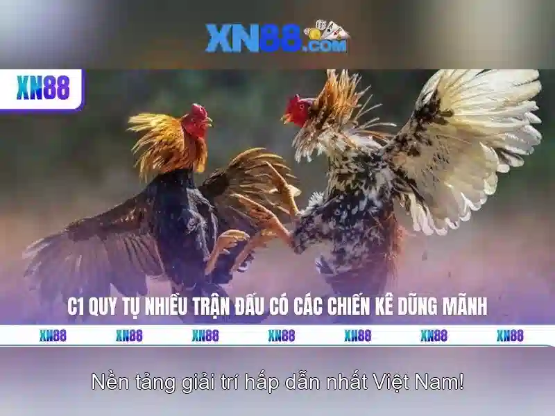 Tính Năng Độc Quyền Của App XN88