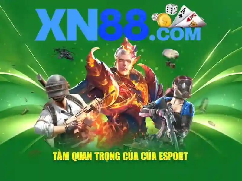 Trải Nghiệm Người Chơi